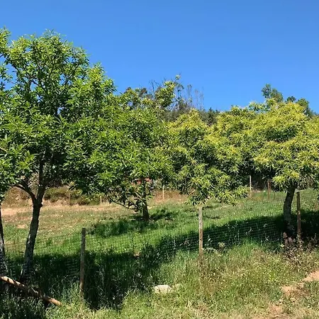 Aldeia Do Xisto, Penela - Casa Da Ferraria * Penela